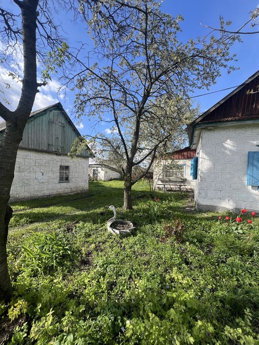 Продаж будинку з великою ділянкою