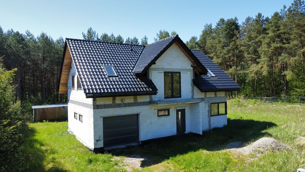 powrót domu w lasie pod Sztumem