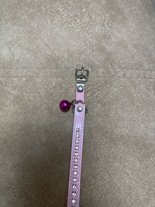 Продам ошейник для маленький пород собак или котов ( кошек)