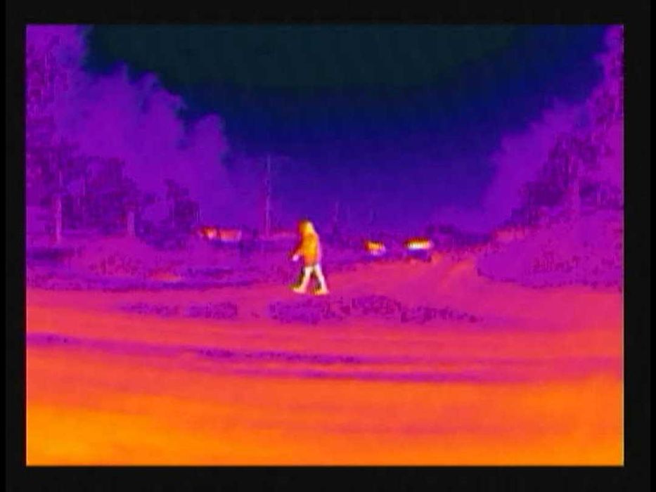 Тепловізор 256х192 з кастомним ПЗ