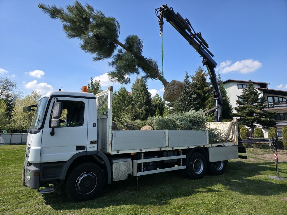 HDS transport , usługi transportowe , usługi HDS