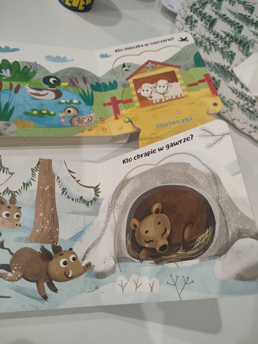 Co kryją okienka? Na wsi i w lesie