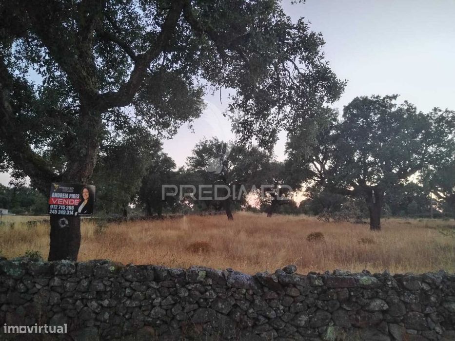 Terreno Agrícola