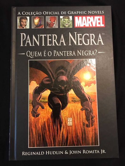 22 LIVROS Oficial de Graphic Novels Marvel (Salvat)