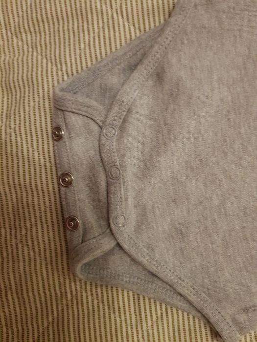 Body roz.62 / 5.10.15