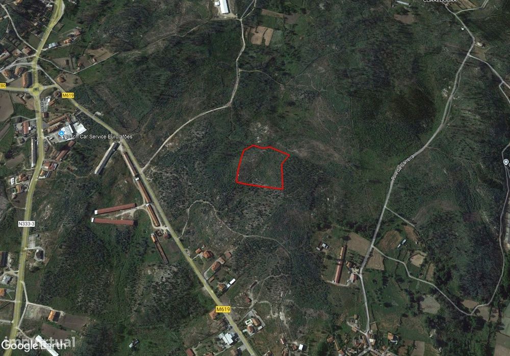 Terreno/Pinhal – Oliveira de Frades