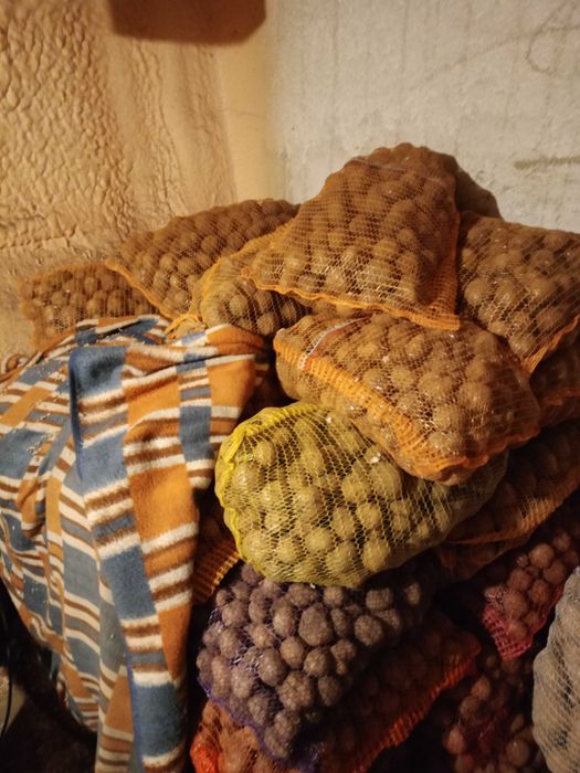 Ziemniaki Bryza Sifa Mante Carlo