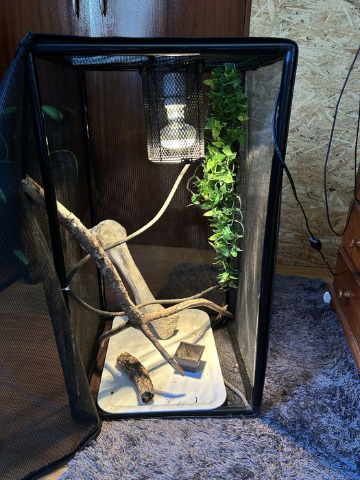 Terrário/gaiola  para Camaleão Completo (Iluminação + Acessórios) – 75€