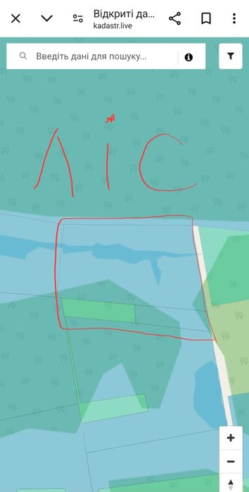 125 соток з соснами, власна водойма, прямий вихід до лісу Мотижин