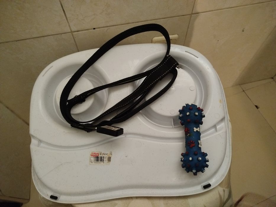 Conjunto trela retrátil bandeja, brinquedo