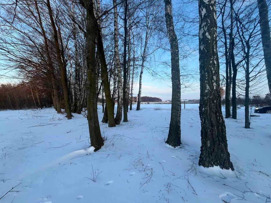 (3) Продам земельну ділянку в Березина 8686