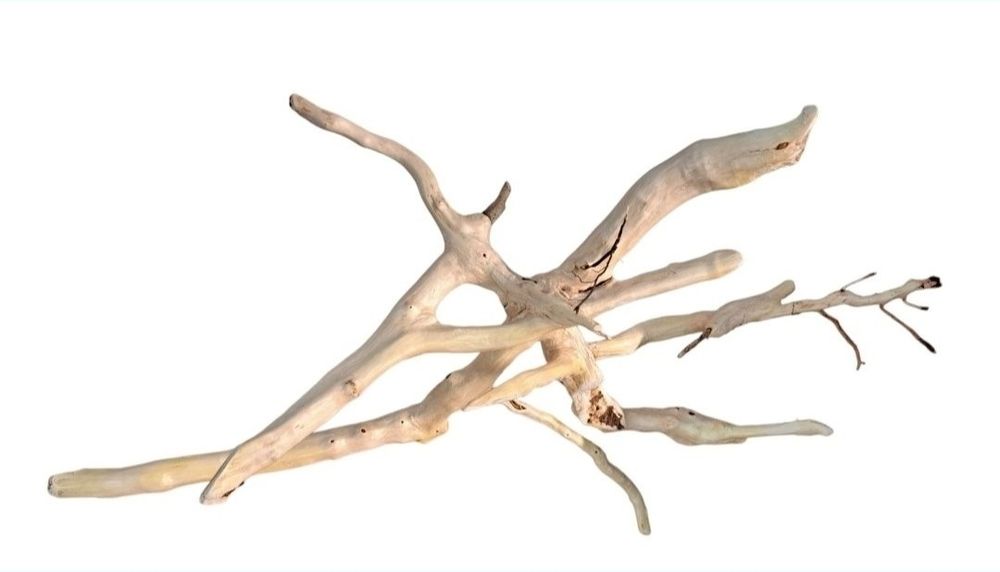 Коряга в Аквариум/террариум с дерева  КЛЕН