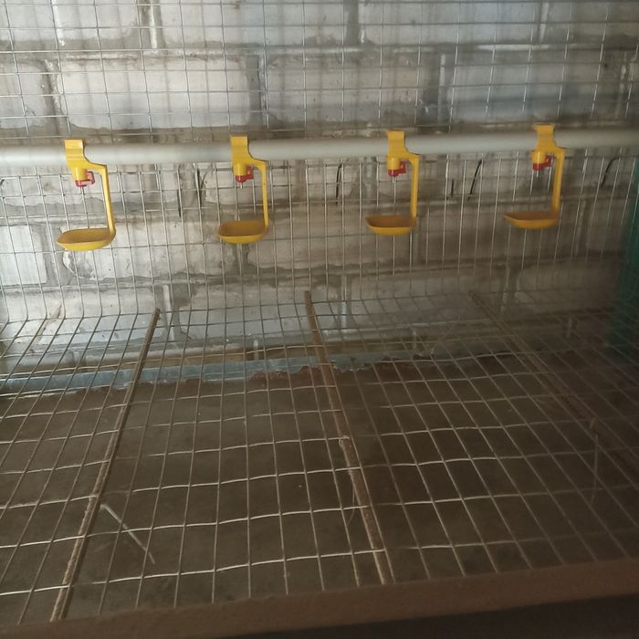 Клетка для кур несушек