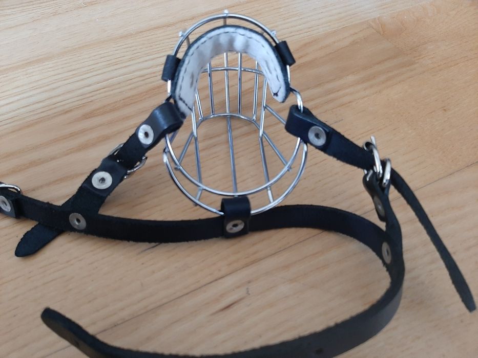 Kaganiec dla psa - najmniejszy