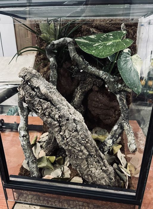 Terrarium 40x40x60 dla gadow nowe