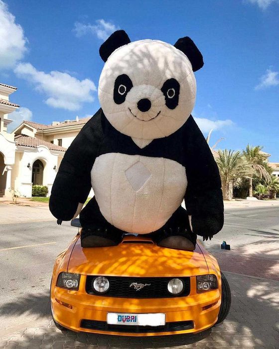 Kostium dmuchany Pandy 2,6m