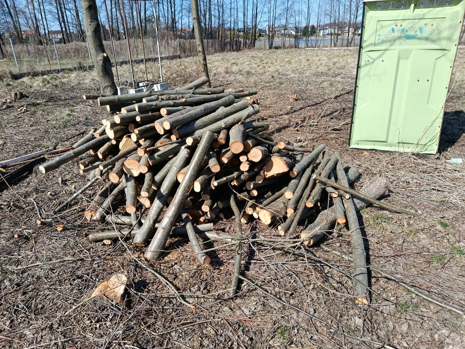 Drewno opałowe olcha