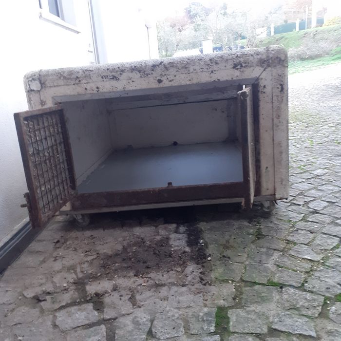 Caixa transparente animais vivos