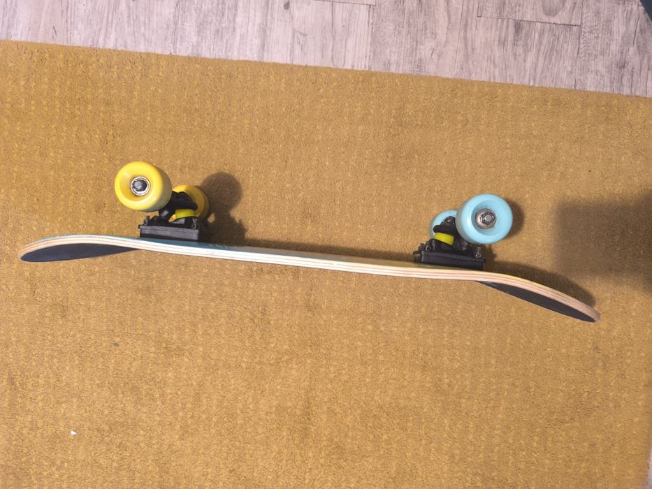 Skate bom estado