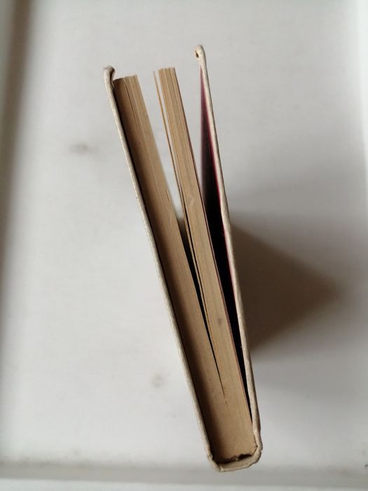 Atlas grzybów - Bruno Henning