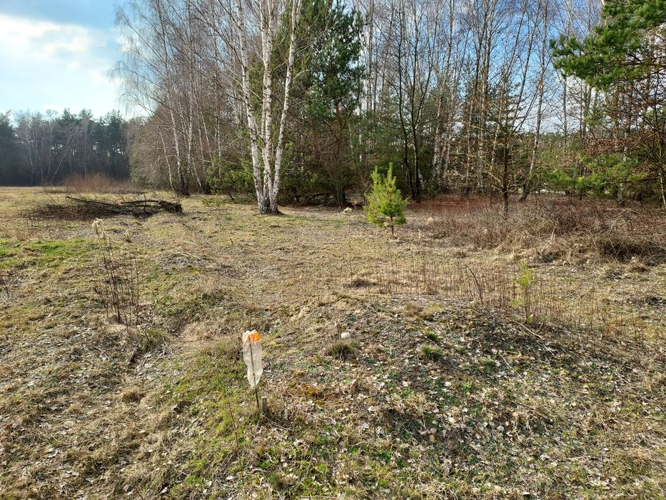Działka budowlana we wsi Hipolitów gm. Grójec, bezpośrednio - Widok 2