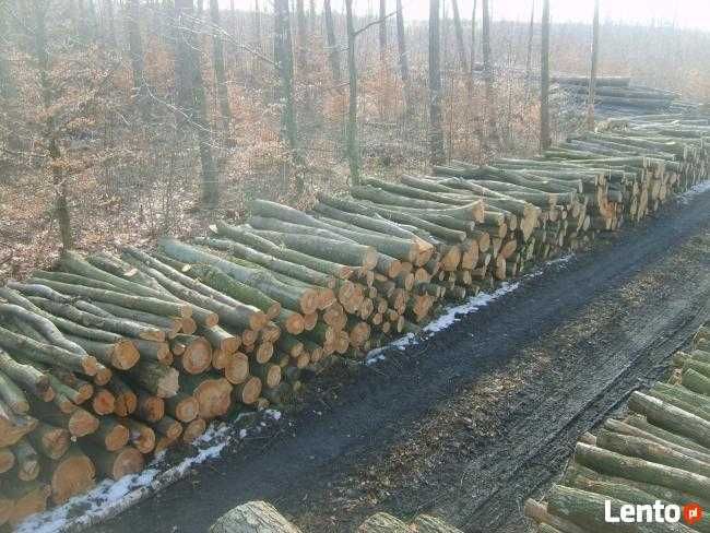Дрова  Тисмениця Франківськ 10 скл