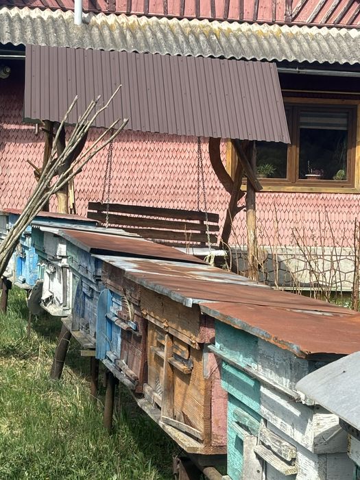 Вулики вулик для бджіл