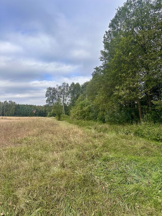 Działka budowlana jezioro las warunki zabudowy media