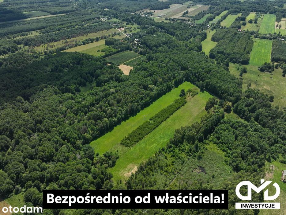 Działka rolna 27000m² (2.7ha) Żuków pow. Żyrardowski Puszcza Mariańska