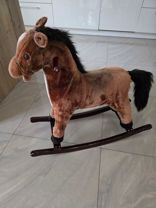 Konik na biegunach