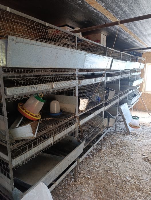 Клітки для бройлеров