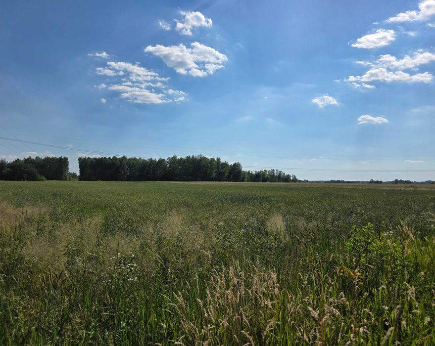 Budowlana płaska działka 25ar/prąd, woda/wydana WZ pod dom 165 m² - Więcej
