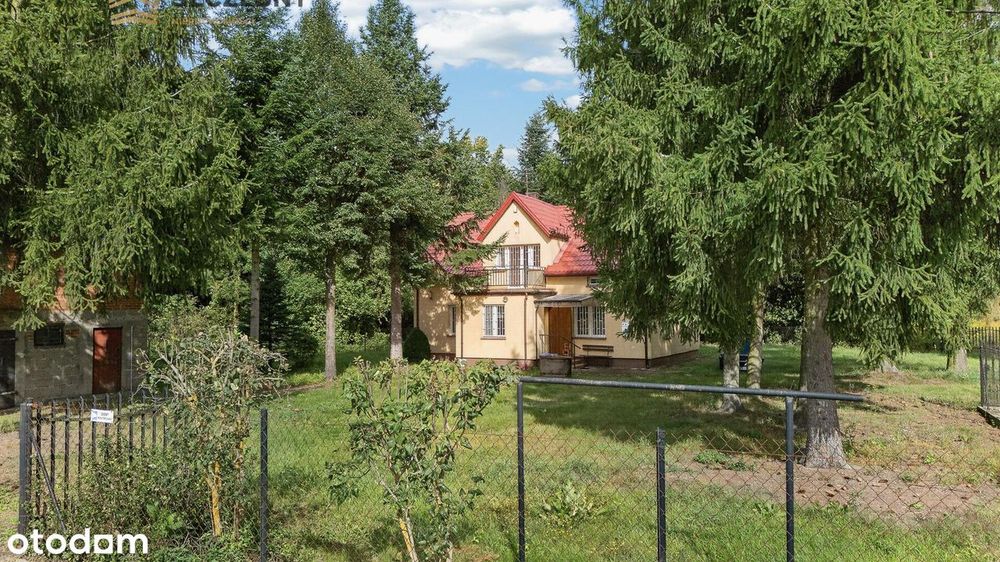 Siedlisko- dom mieszkalny, budynki gospodarcze, MOGOWO obok NASIELSKA - Widok 5
