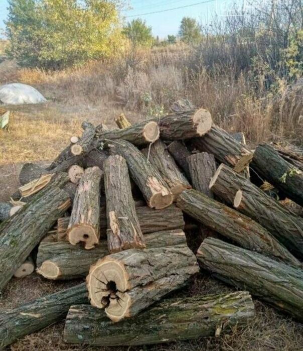 дрова колоті та чурки, дуба, берези, вільхи, мінімальна ціна, чесний об’єм, доставка і вигрузка безкоштовні 1/12 м3