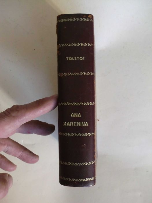 Ana Karenina
de Leão Tolstoi