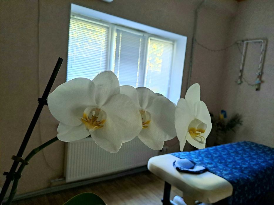 Якісний масаж. Центр міста