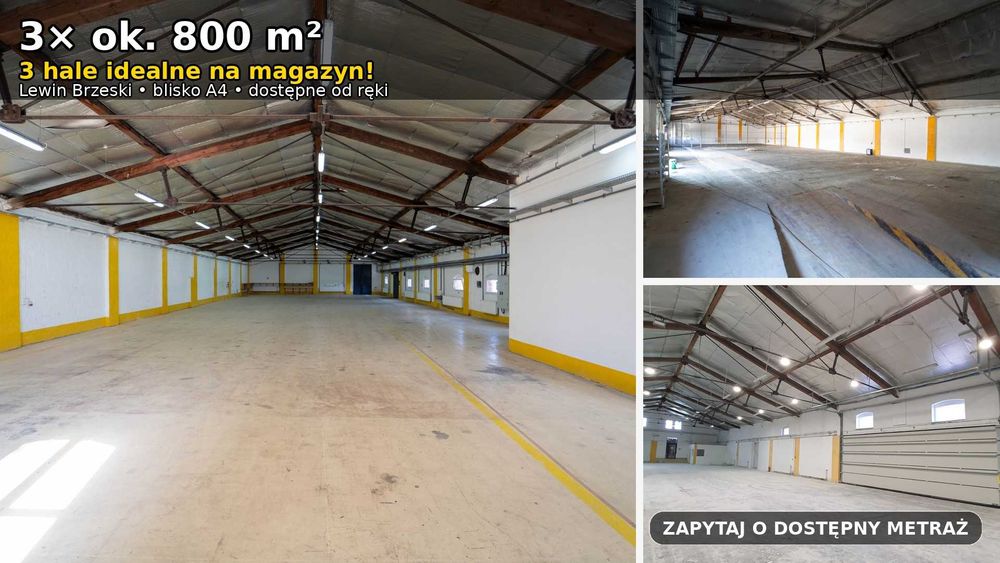 Hala magazynowa produkcyjna - dostępne od ręki!