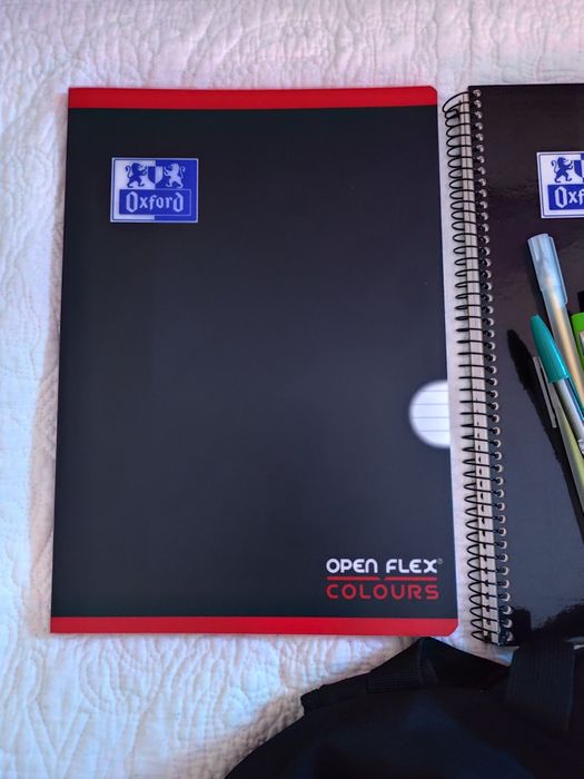 Lote de material escolar diverso