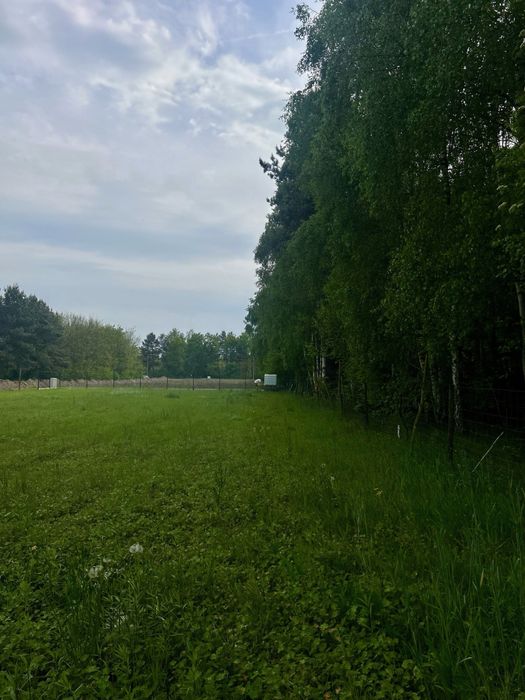 Działka budowlana 1200 m² blisko Trzebnicy, prąd, woda, utwardzona droga - Więcej