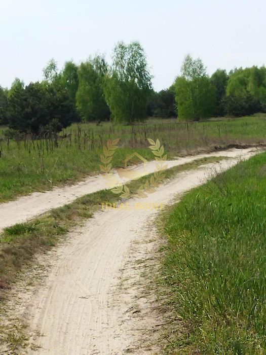 Продам земельну ділянку під забудову в Дружні Бородянського району