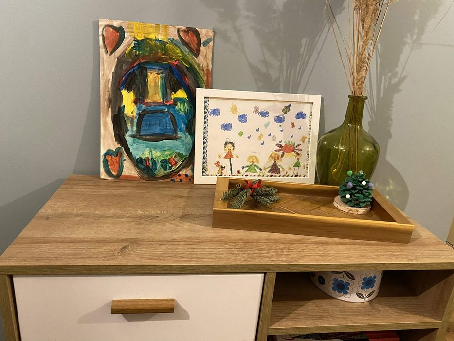 Szafka Regał Scandic meble