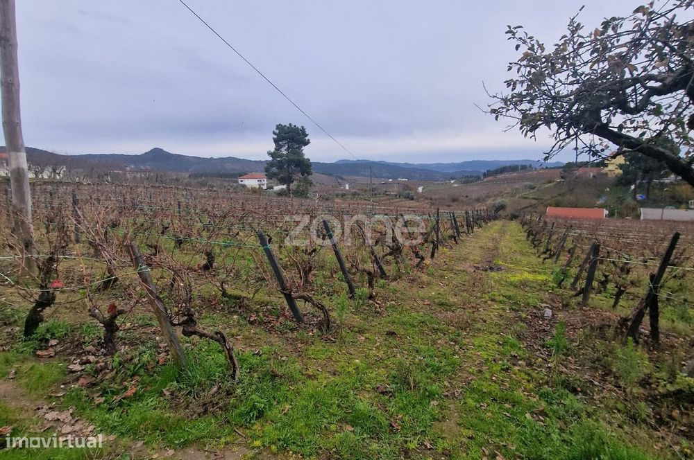 Terreno Urbano + Rústico à Venda no Centro da Vila – 6.940 m²