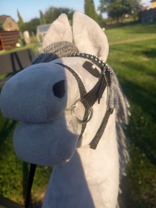 Hobby horse rozm. A4