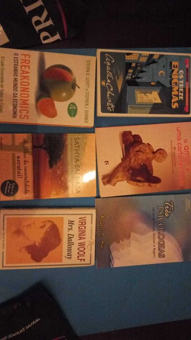 Lazer- livros diversificados