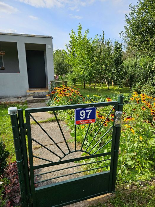 Sprzedam ogródek działkowy