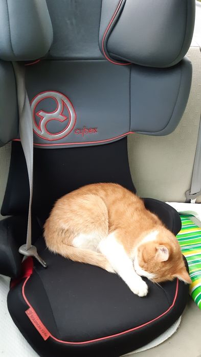 Дитяче автокрісло Cybex Solution x2-fix