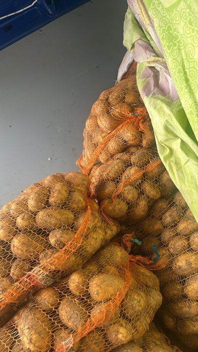 Sprzedam ziemniaki jadalne wega