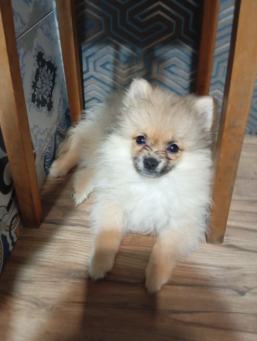 3000 грн.Акция до Різдва та Нового Року!!