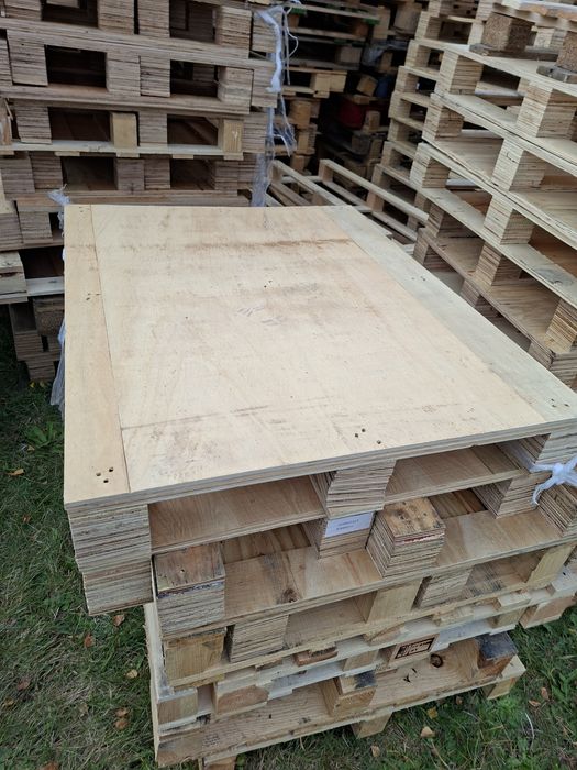 Sprzedam palety plastikowe i drewniane sklejkowe