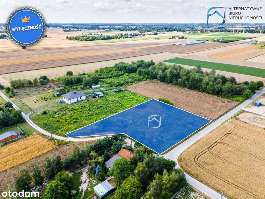 Wyjątkowa działka w spokojnej okolicy - Widok 6